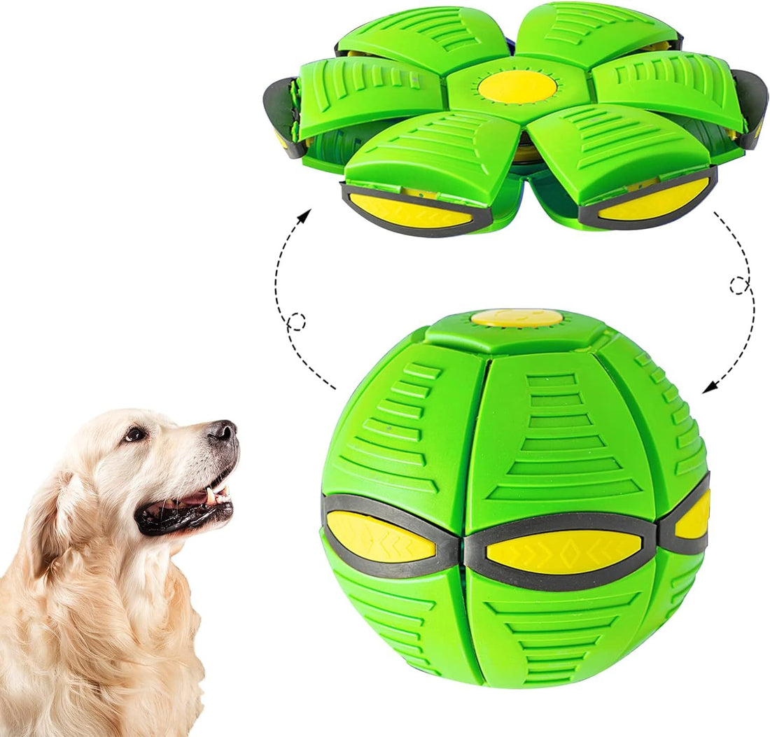 Flying Saucer Ball For Pets